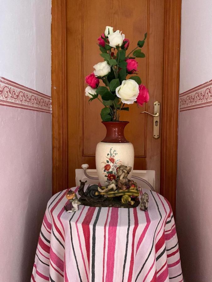 Alojamiento Del Duende Vejer de la Frontera Εξωτερικό φωτογραφία
