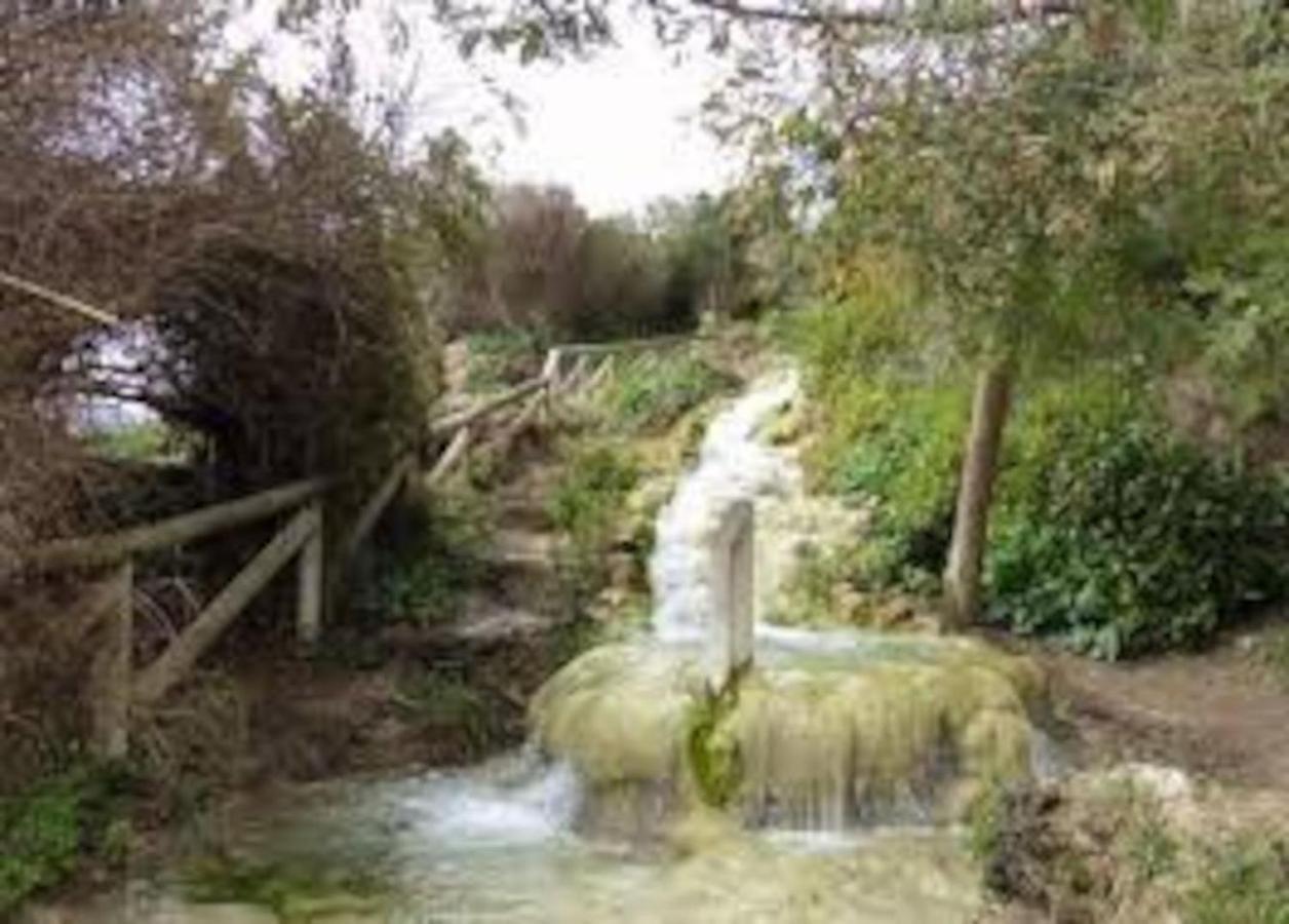 Alojamiento Del Duende Vejer de la Frontera Εξωτερικό φωτογραφία