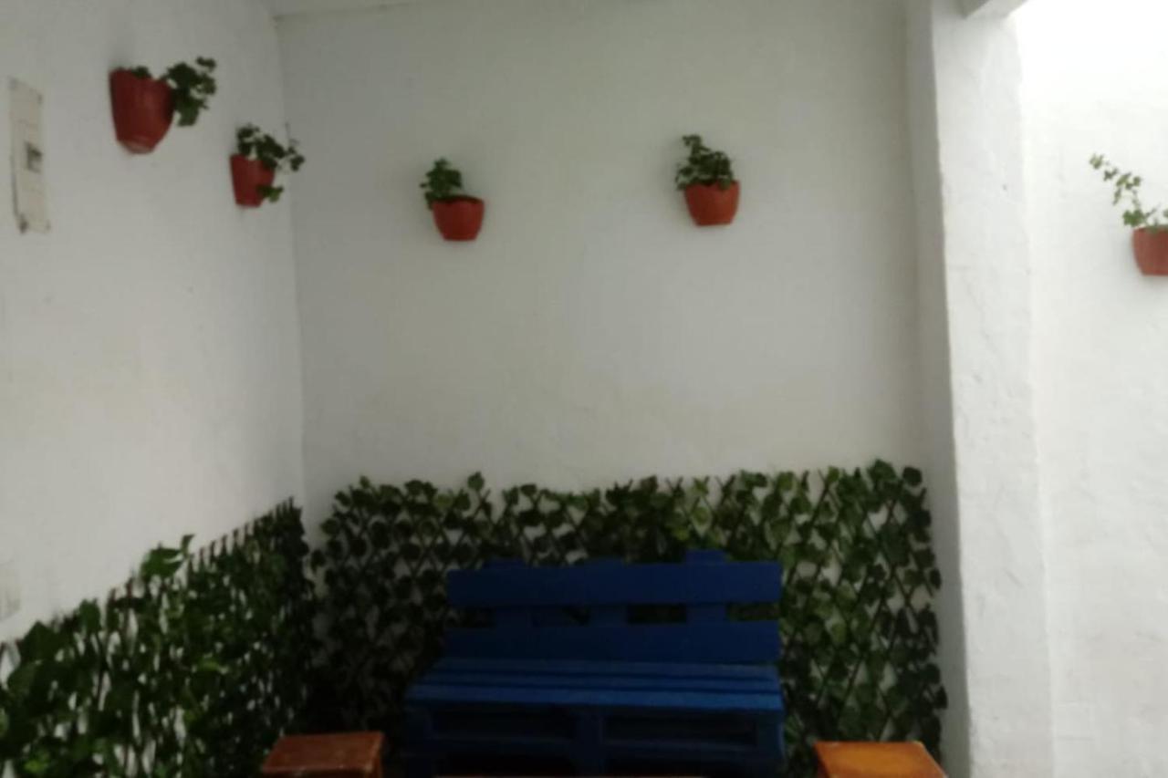 Alojamiento Del Duende Vejer de la Frontera Εξωτερικό φωτογραφία
